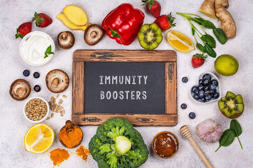 Do’s for Building Immunity During Flu Season: Taking Ayurvedic Medicine to Increase Immunity and More ayurchemstore