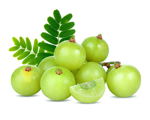 Amalaki (Emblica officinalis)