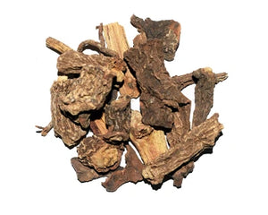 Lodhra (Symplocos racemosa)