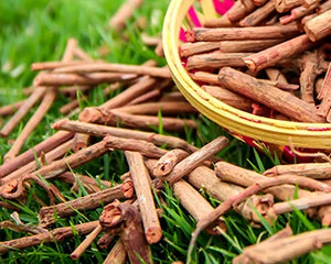 Manjistha Extract (Rubia cordifolia)