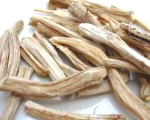 Trivrut (Operculina turpethum)