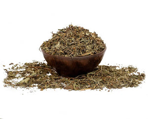 Shankhpushpi (Convolvulus pluricaulis)