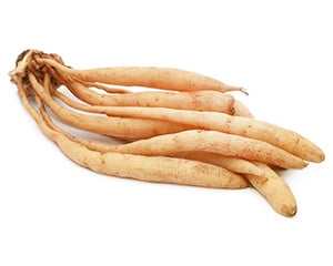 Shatavari (Asparagus racemosus)