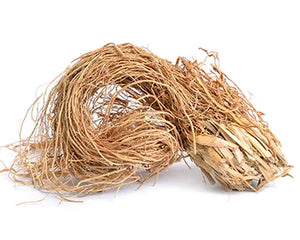 Ushir (Vetiveria zizanioides)