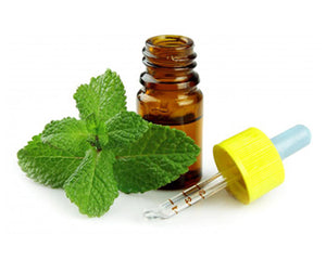 Peppermint Oil (Mentha piperita)