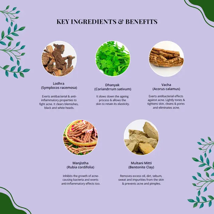 Beautree Anti Acne Face Pack ayurchemstore