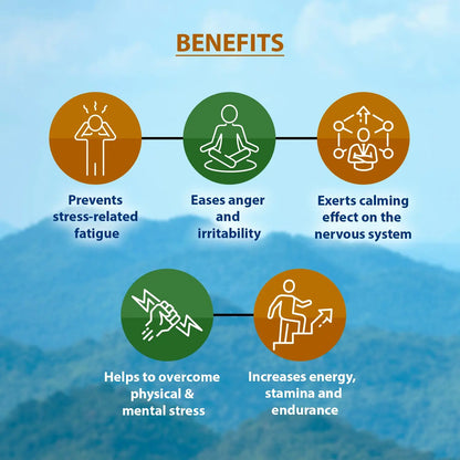 Longivital Tablet Ayurchem