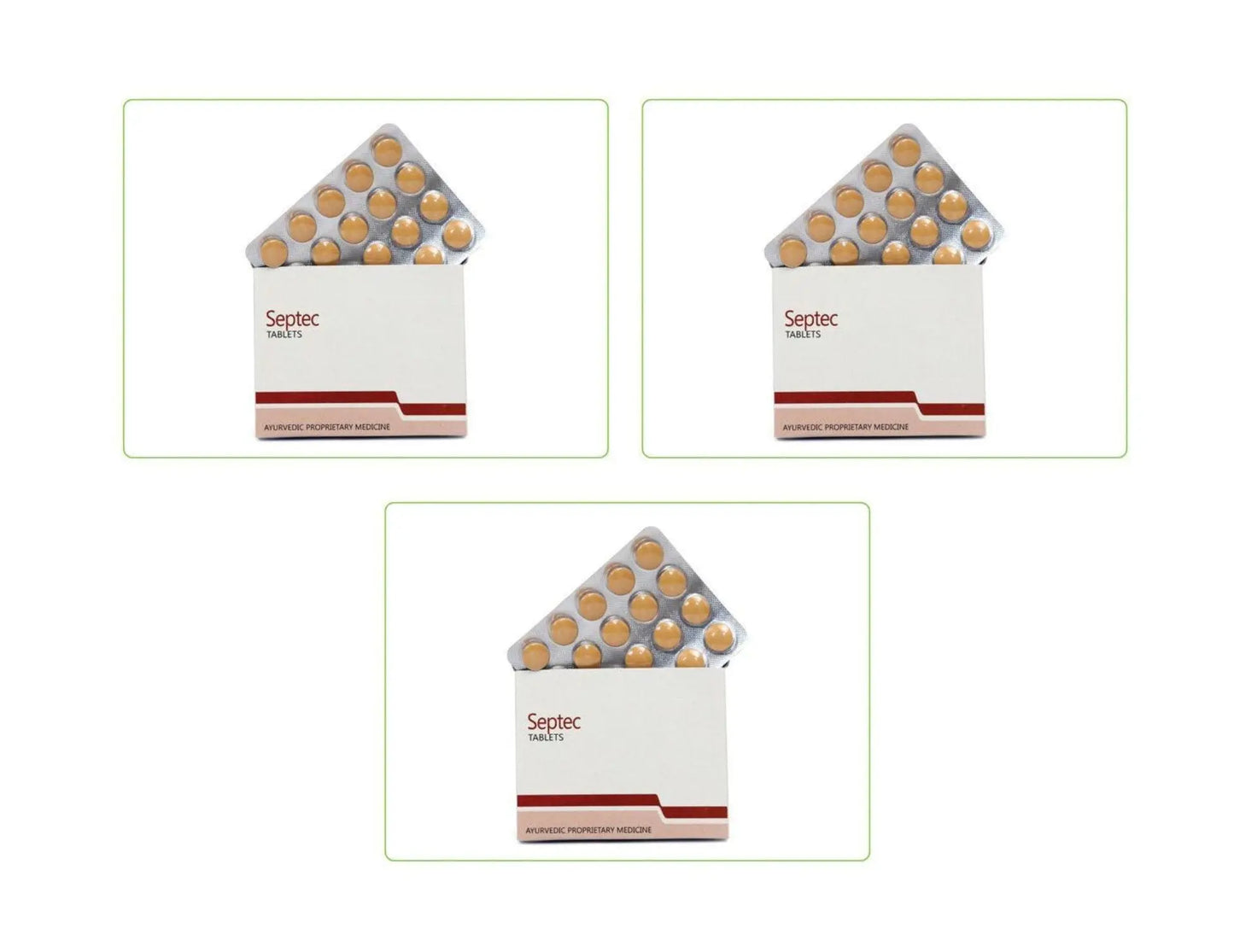 Septec Tablet Ayurchem